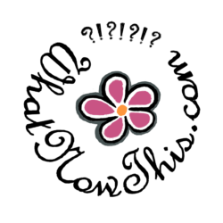 WhatNowThis logo