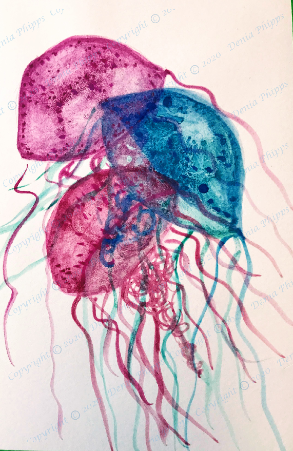 jellyfish<br>© Denia Phipps