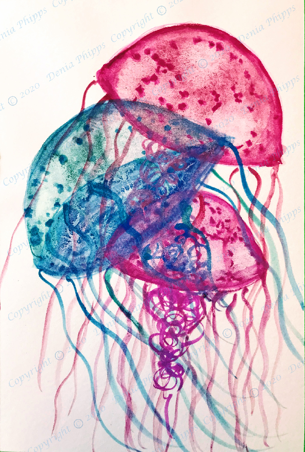 jellyfish<br>© Denia Phipps