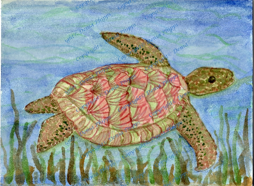 turtle<br>© Denia Phipps